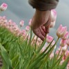 You don't need to be chosen. You don't need to be picked by a guy to have worth. A man is picking a flower out of field.
